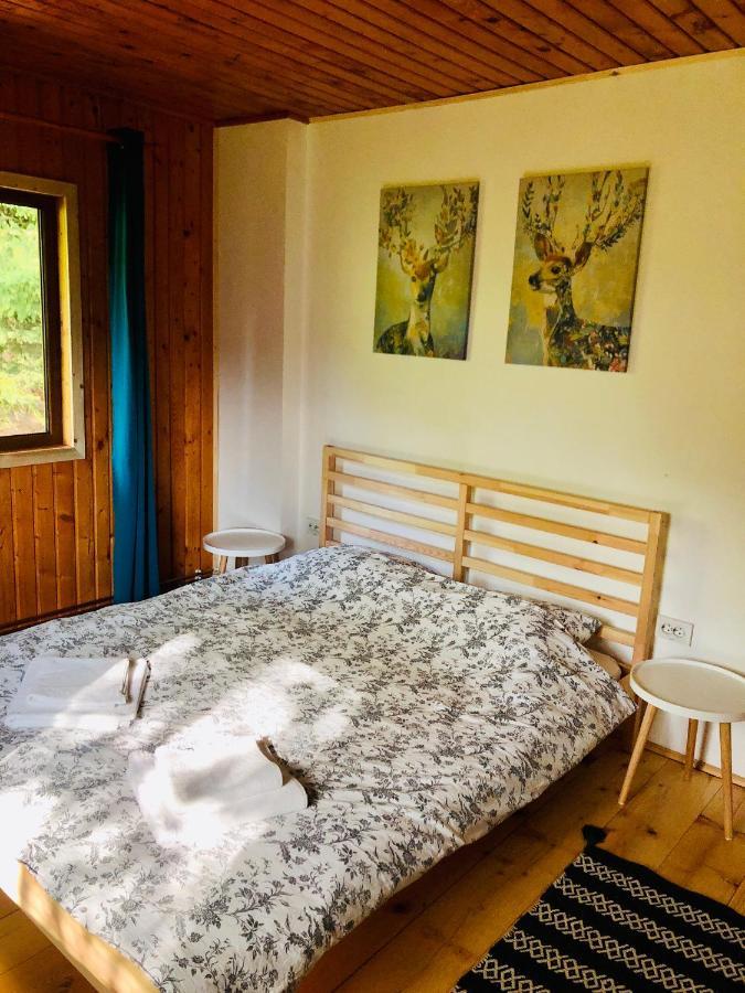 Conacul Secaria Villa Buitenkant foto