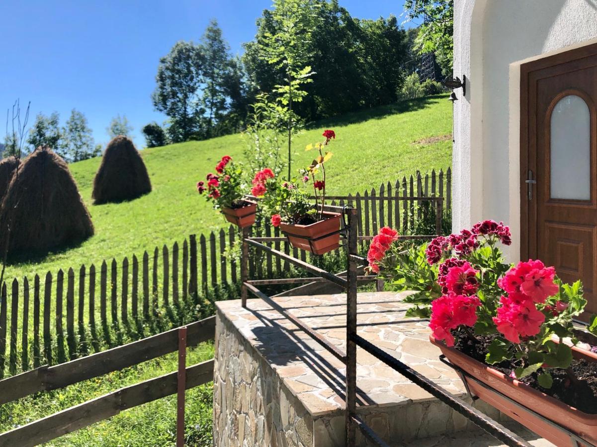 Conacul Secaria Villa Buitenkant foto
