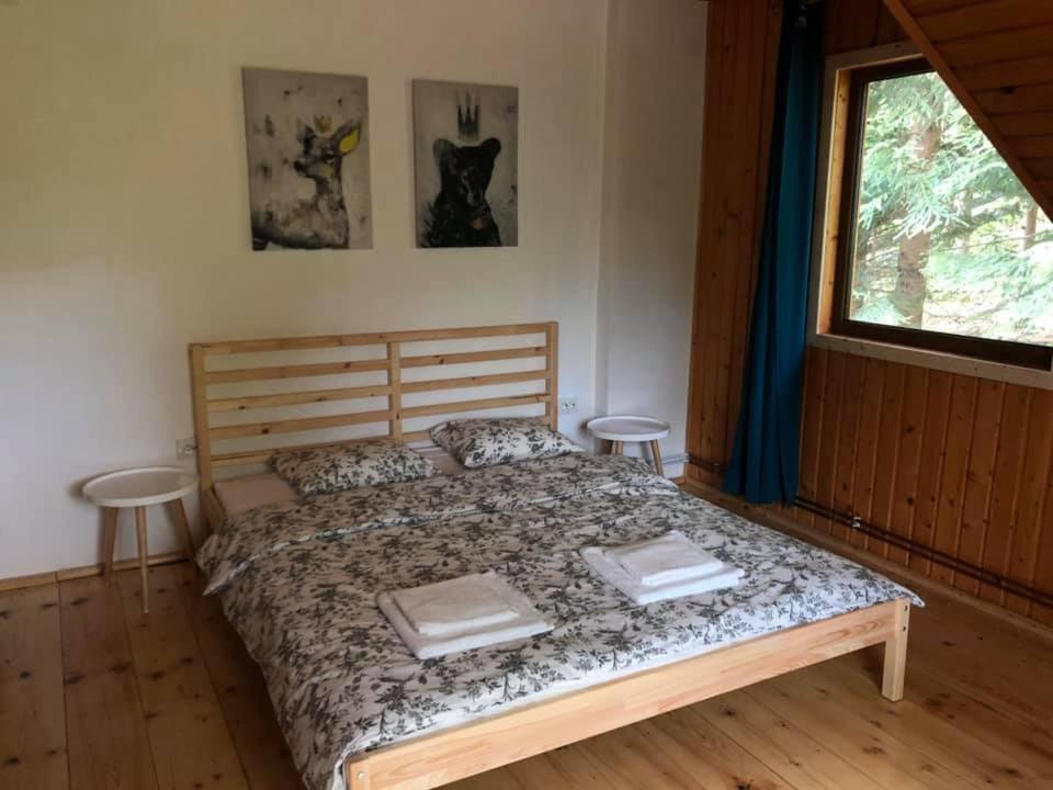 Conacul Secaria Villa Buitenkant foto