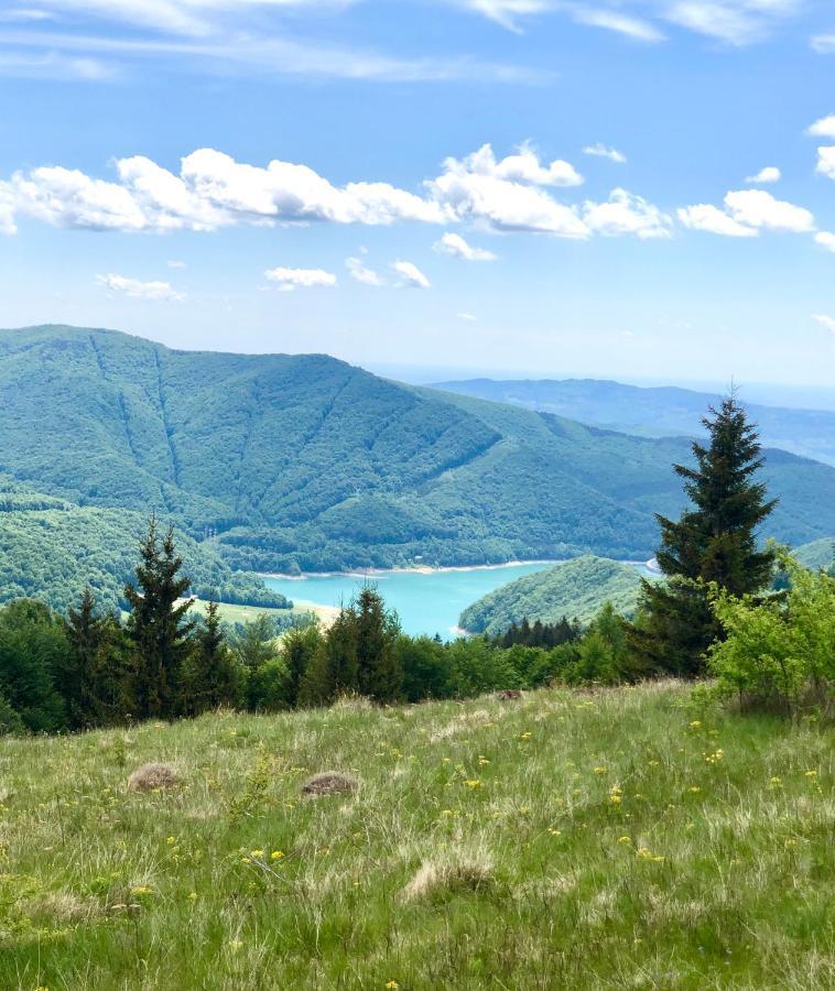 Conacul Secaria Villa Buitenkant foto