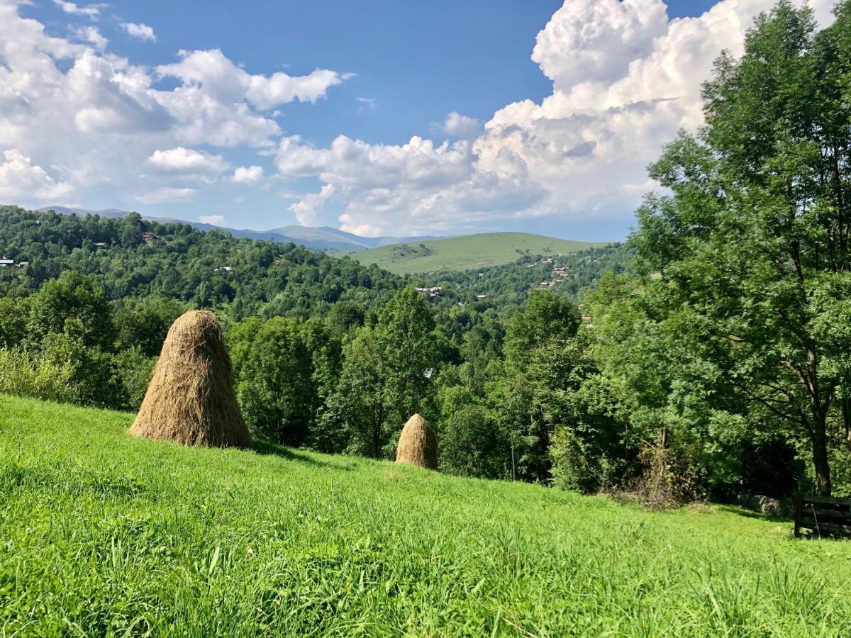 Conacul Secaria Villa Buitenkant foto