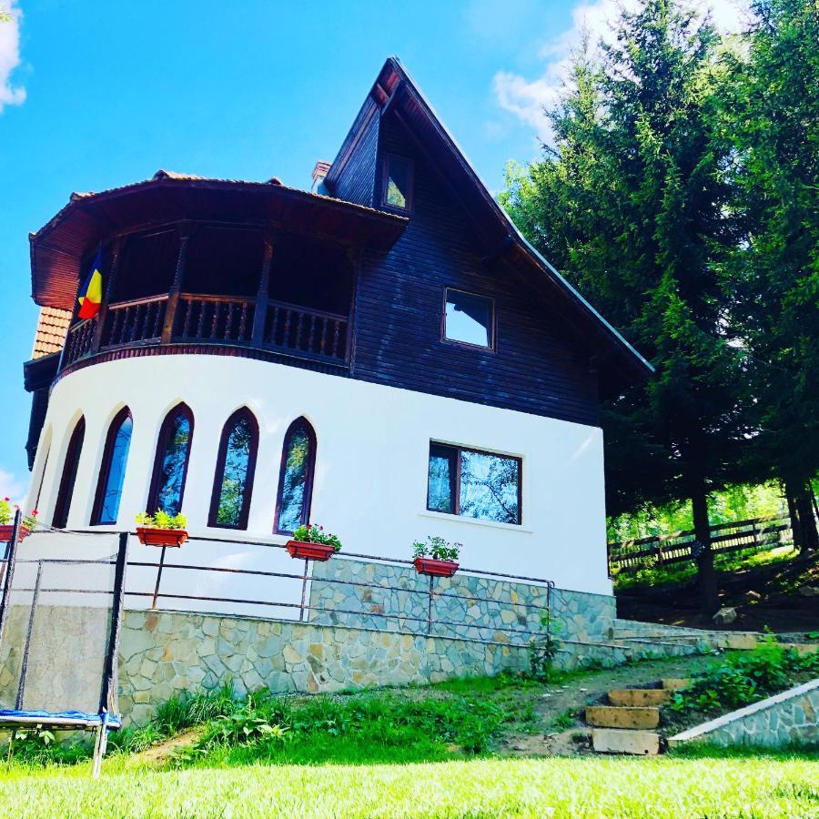 Conacul Secaria Villa Buitenkant foto